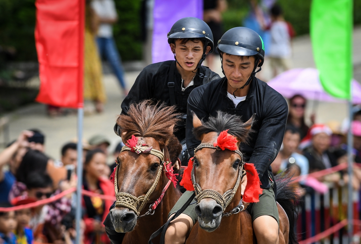Những khoảnh khắc tranh tài quyết liệt tại giải đua ngựa Fansipan lần thứ nhất