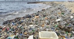 G20 thống nhất giảm rác thải nhựa