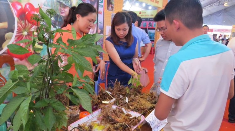 Phiên chợ sâm Ngọc Linh tại huyện Nam Trà My (Quảng Nam)