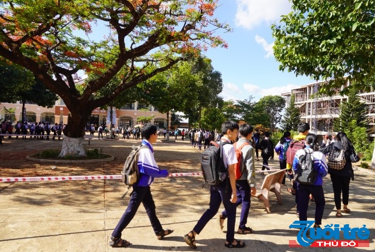 Vì sợ nguy hiểm đến học sinh, lãnh đạo nhà trường đã xin phòng Giáo dục và Đào tạo cho chặt bỏ 2 cây phượng trong sân trường