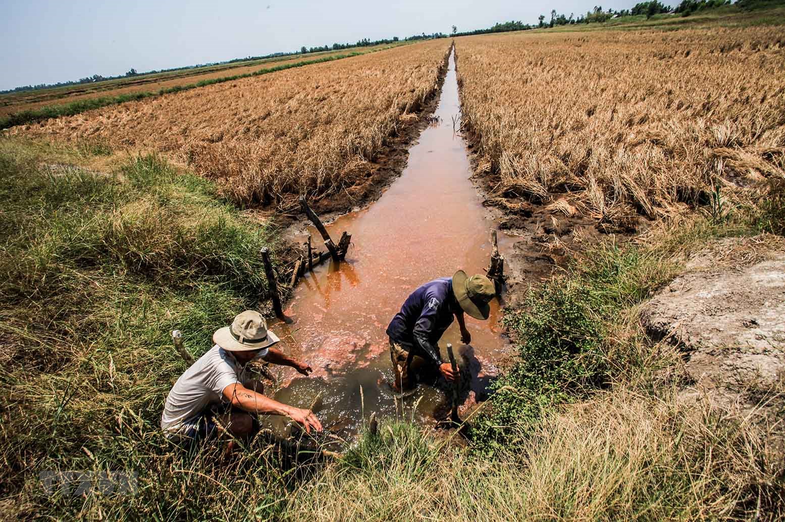 Ngân hàng Thế giới phê duyệt 84,4 triệu USD hỗ trợ Việt Nam ứng phó biến đổi khí hậu