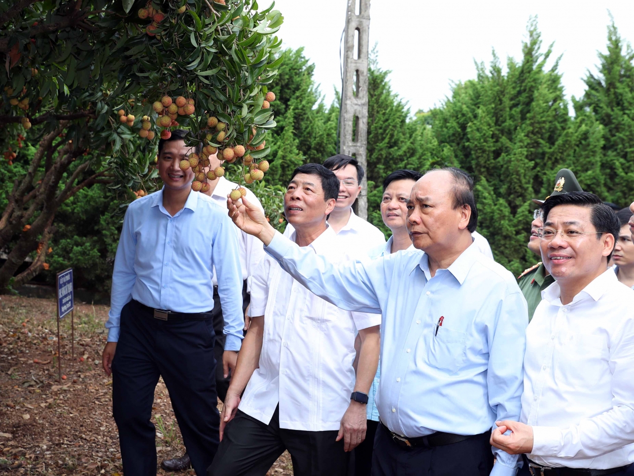 Thủ tướng đúc kết 10 điểm sáng và đưa Bắc Giang vào nhóm dẫn đầu cả nước về tăng trưởng