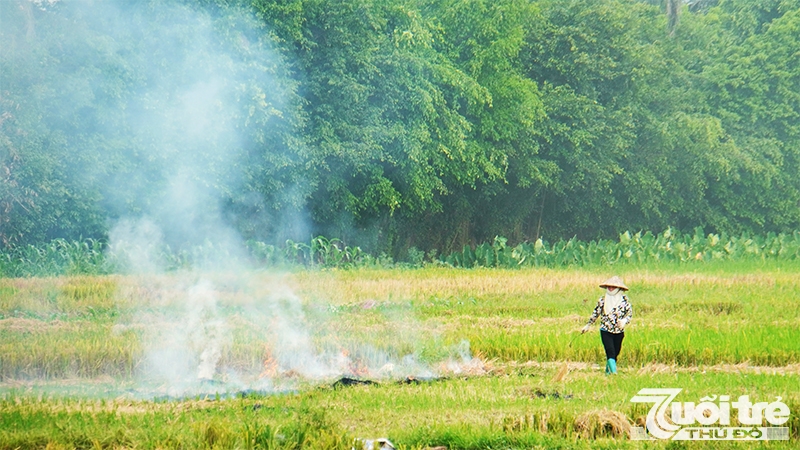 Cứ đến mùa gặt, câu chuyện đốt rơm rạ của bà con nông dân ở một số vùng lại được đặt ra.