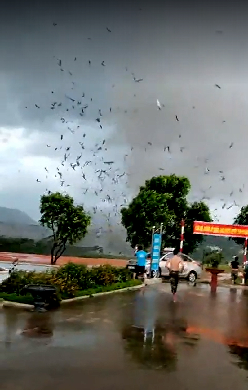 Hình ảnh clip trận lốc xoáy xảy ra ở xã xã Trung Mỹ, (huyện Bình Xuyên, Vĩnh Phúc) được người dân ghi lại và chia sẻ trên mạng xã hội (ảnh cắt từ clip)