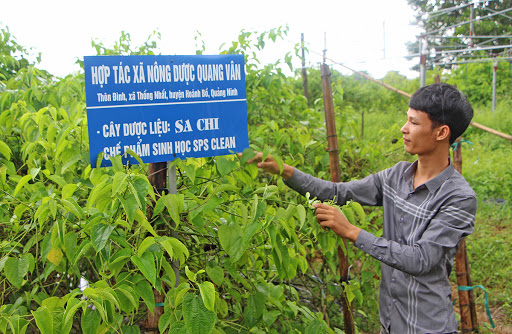 Quảng Ninh xây dựng chương trình liên kết “bốn nhà” để phát triển nền nông nghiệp hiện đại, tạo lực đẩy để đưa lộ trình xây dựng Nông thôn mới của tỉnh tiến nhanh hơn, vững chắc hơn