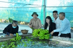 Bộ trưởng Nguyễn Xuân Cường: Ngành Nông nghiệp đã phải chịu rủi ro “kép”