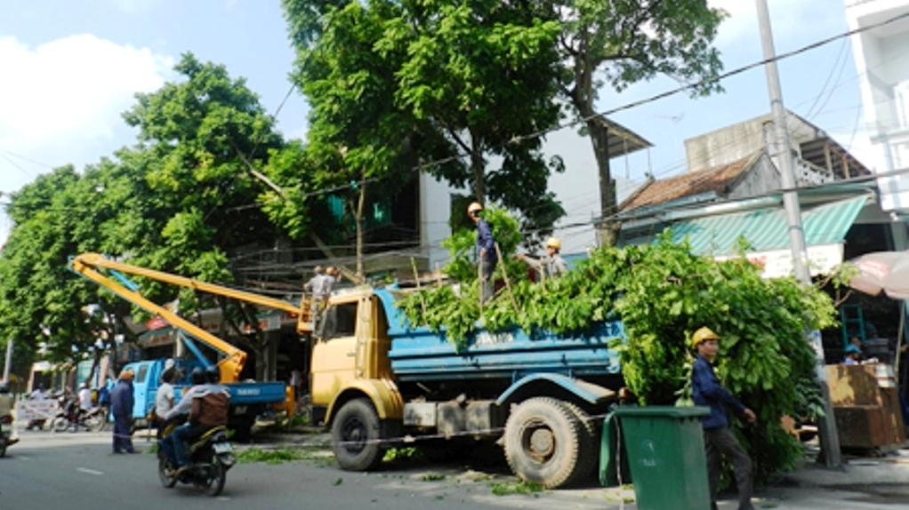 Hà Nội cắt tỉa gần 32 nghìn cây xanh trước mùa mưa bão