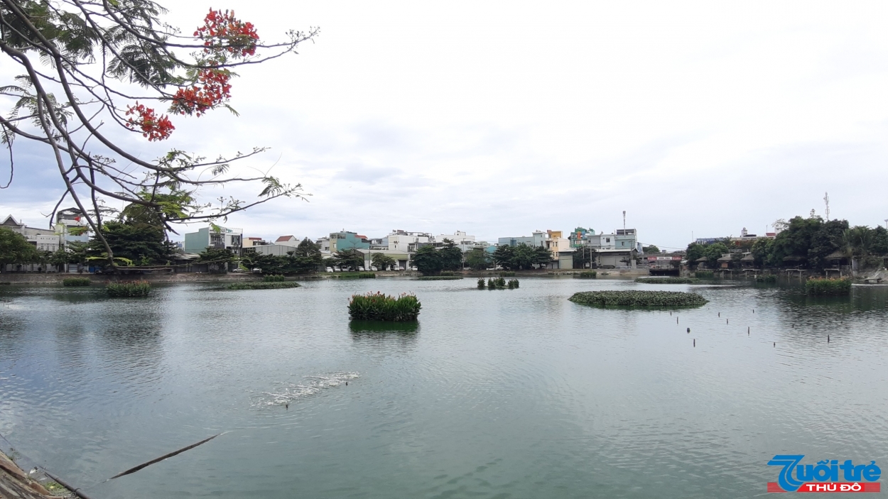 Hồ Bàu Trảng, quận Thanh Khê (Ảnh: V.Q)