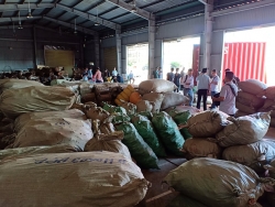 Đà Nẵng: Phát hiện hơn 100 tấn dược liệu nhập khẩu không rõ nguồn gốc