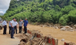 Hoằng Hóa (Thanh Hóa) đẩy mạnh thực hiện phương châm “bốn tại chỗ” trong phòng chống tràn đê