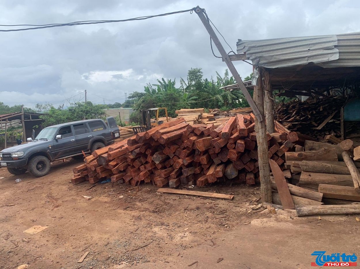 Bên trong xưởng có chứa một số lượng lớn gỗ gồm nhiều chủng loại như: Bằng lăng, căm xe, gõ...