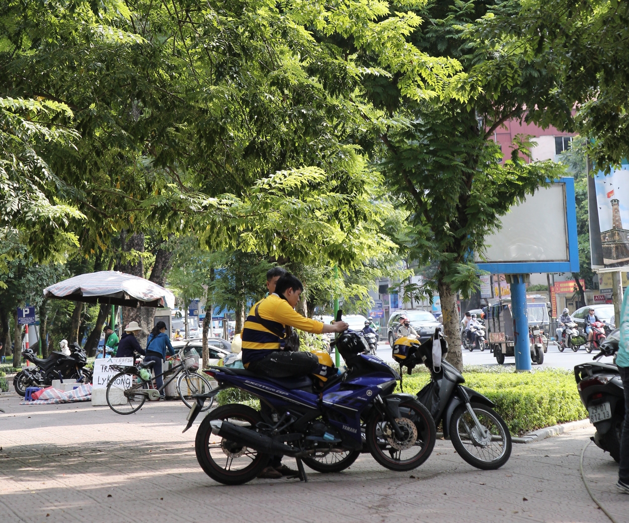 Hơn lúc nào hết, cây xanh chính là “vị cứu tinh” cho người dân khỏi thời tiết khắc nghiệt