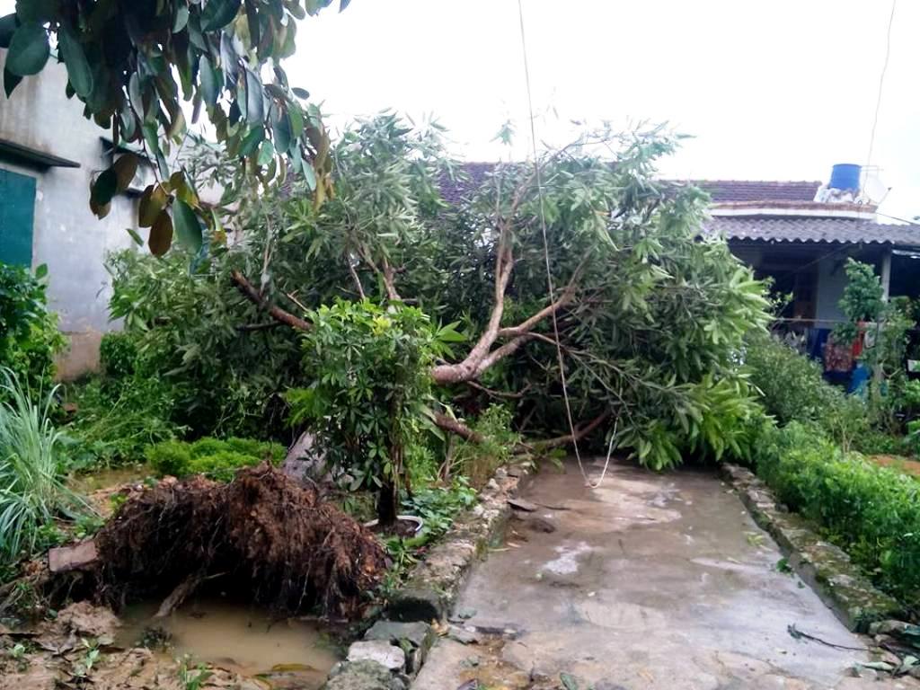 Hà Tĩnh: Thiệt hại gần 500 tỉ đồng do bão