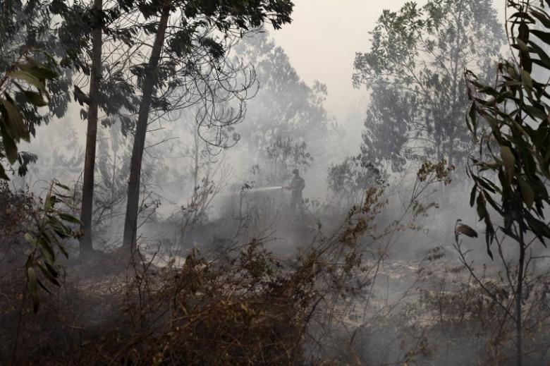 Nguy cơ cháy rừng leo thang ở Indonesia