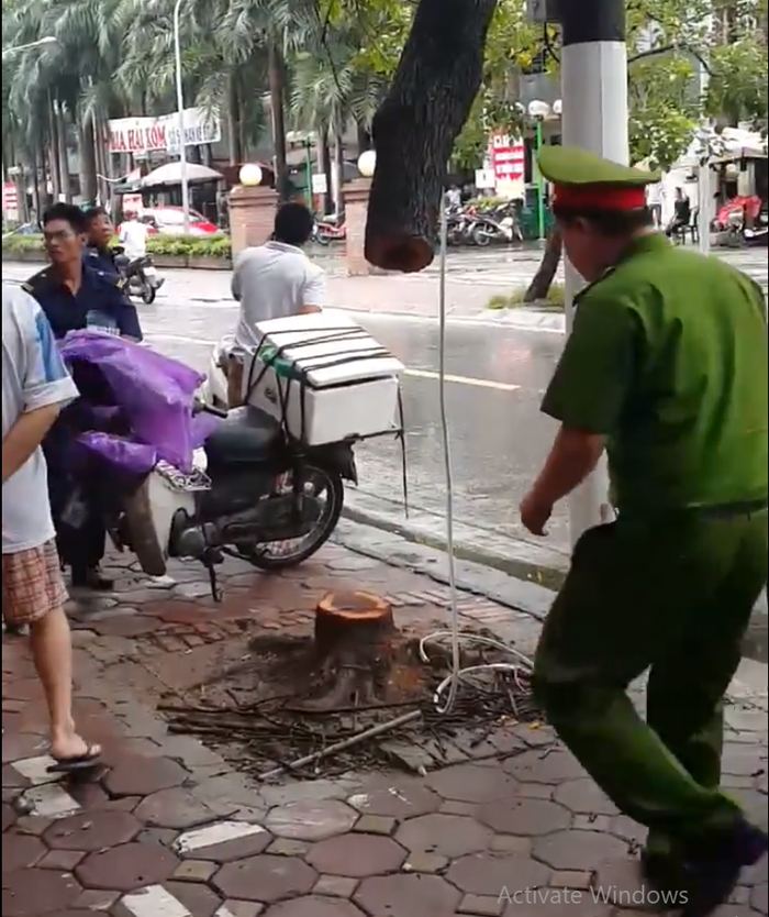 Hà Nội: Lợi dụng mưa bão, kẻ gian cắt trộm cây sưa trên phố Phan Kế Bính