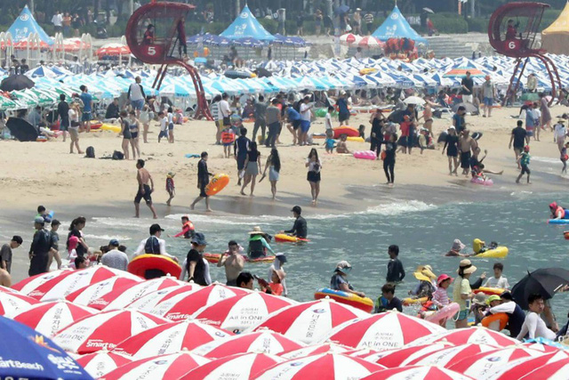 Bãi biển tại Busan, Hàn Quốc chật kín người dân tới giải nhiệt (Ảnh: Choson Ilbo)