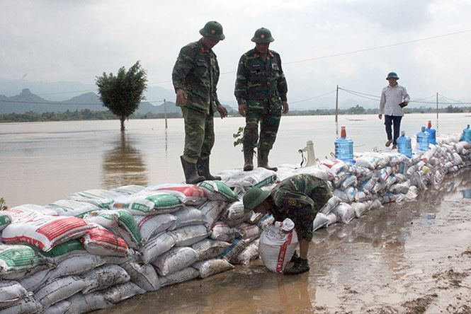 Hàng ngàn bao cát được lực lượng quân đội, công an đắp đê tả Bùi ngăn nước tra vào khu nông nghiệp và dân cư