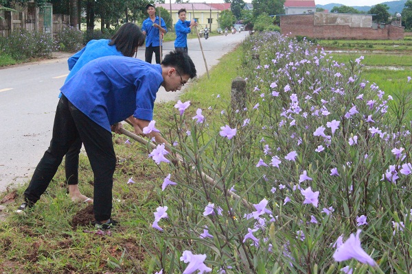  Đường làng nở hoa