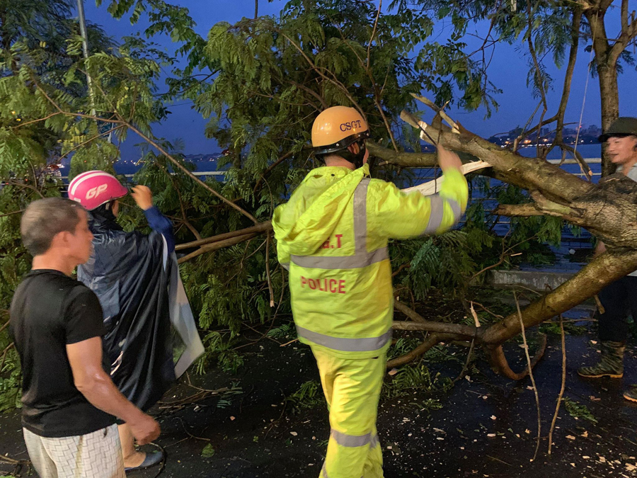 Hà Nội: Ảnh hưởng bão số 2, cây xanh đổ va vào 2 phụ nữ đi trên đường