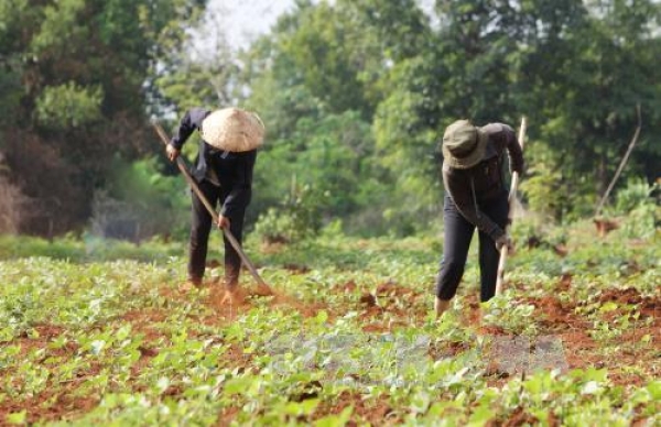 Đắk Lắk tăng cường thanh tra, giải quyết dứt điểm khiếu nại kéo dài