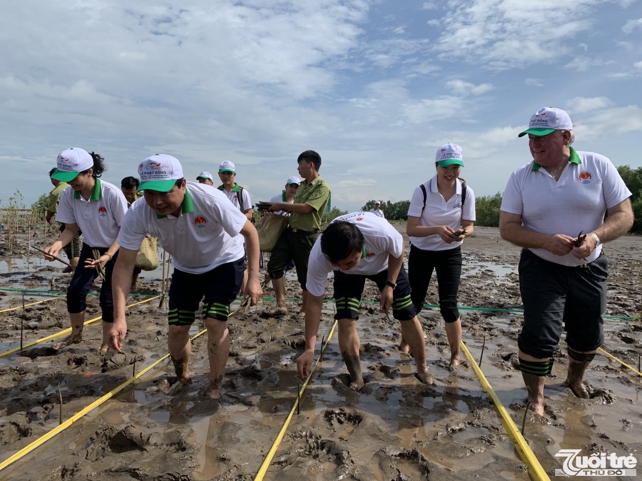 Hoạt động phát triển rừng ngập mặn nhằm bảo vệ vùng đất ven biển, bảo vệ đa dạng sinh học, hệ sinh thái ven biển