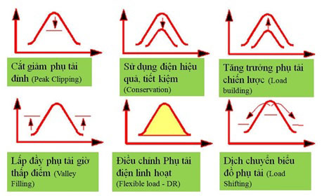 Cách tiếp cận thực hiện chương trình DSM