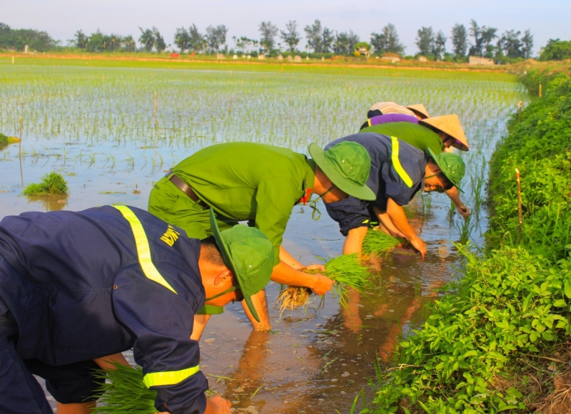 Chiến sĩ trẻ Thủ đô cấy lúa cùng dân trong thời tiết 40 độ C