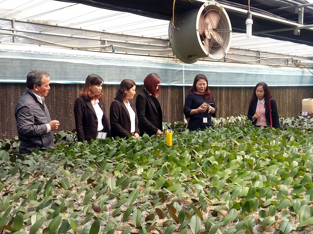 Những năm qua, HTX Đan Hoài đã giới thiệu và chuyển giao nhiều tiến bộ khoa học kỹ thuật cho người dân, các đơn vị trong và ngoài thành phố Hà Nội