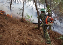 Gấp rút triển khai các phương án phòng chống cháy rừng tại miền Trung