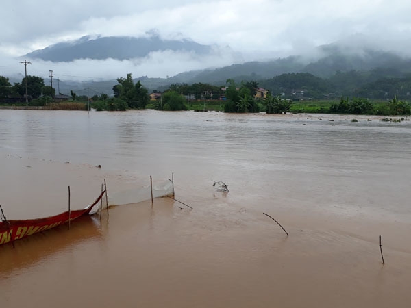 Cánh đồng thôn Kim Tiến, xã Quang Kim chìm trong nước