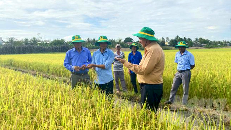 Phân bón Bình Điền: 17 năm liền đạt “Hàng Việt Nam chất lượng cao