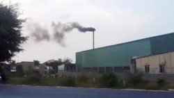 TP HCM: Công ty TNHH Bao bì Vĩnh Khang liên tục bị dân tố xả thải gây ô nhiễm môi trường
