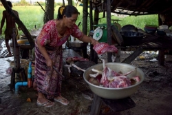 Giết mổ và buôn bán chó để thịt tại Siem Reap bị phạt tối đa 5 năm tù
