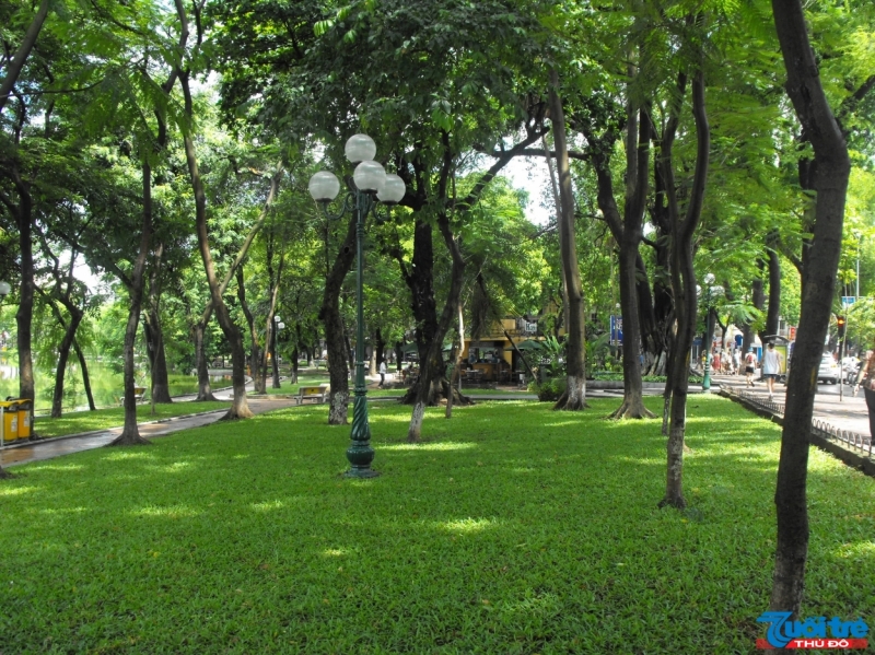 Ứng xử hài hòa với thiên nhiên để giảm bớt cái nóng mùa hè Hà Nội