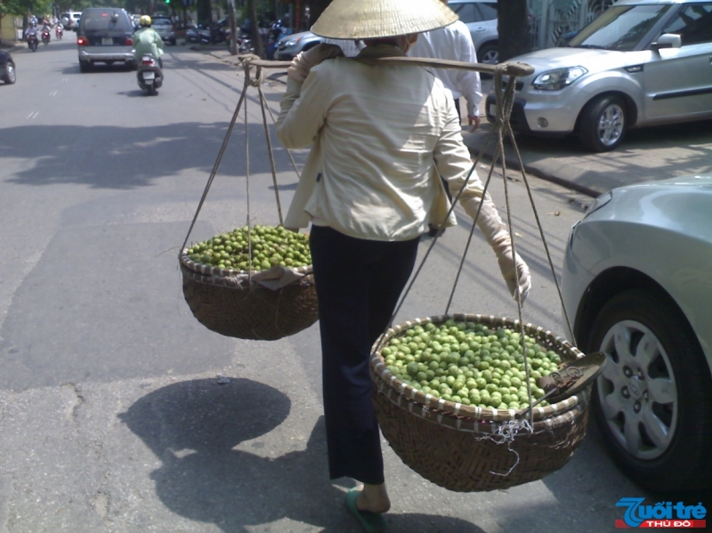 Thong thả thư thái tận hưởng những chiều hè Hà Nội