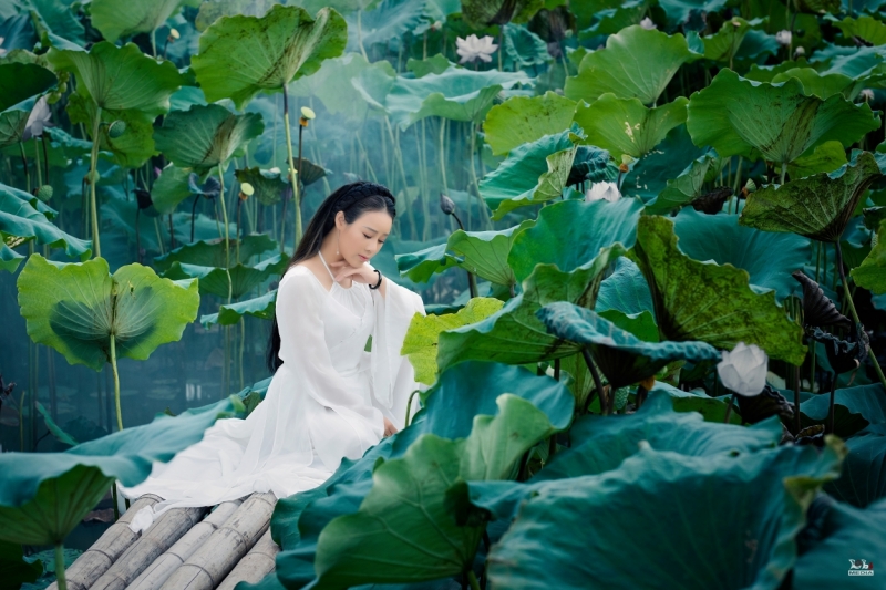 Ca sĩ Hoa Trần hóa tiên nữ vườn sen, “biến hình” hit của Hoài Lâm