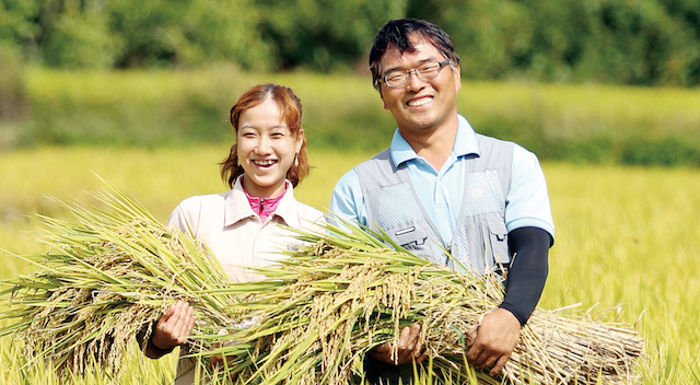 Giới trẻ Hàn Quốc ngày càng hứng thú với khởi nghiệp nông nghiệp