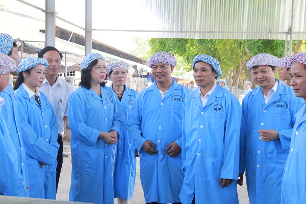 Hà Nội có 46 mô hình ứng dụng nông nghiệp công nghệ cao