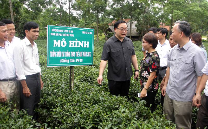 Bí thư Thành ủy Hoàng Trung Hải thăm các mô hình sản xuất nông nghiệp tại huyện Ba Vì