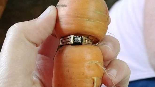 Bất ngờ tìm thấy chiếc nhẫn mất tích sau 13 năm nhờ 1 củ cà rốt