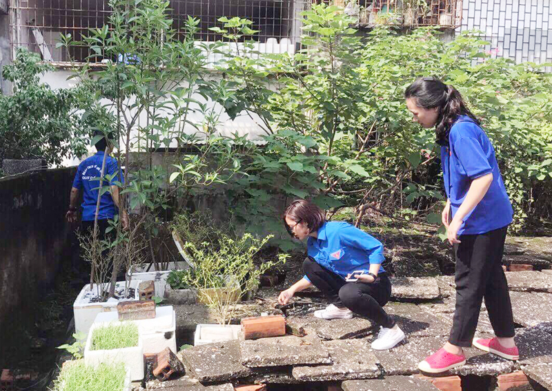 Quyết liệt phòng chống sốt xuất huyết: Hà Nội “phủ xanh” màu áo tình nguyện