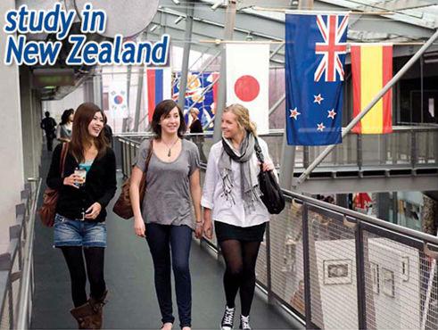 5 ngành học tăng cơ hội thành công khi du học New Zealand