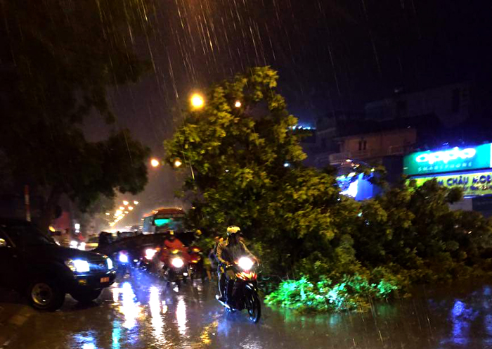 Hà Nội: Giông lốc bật gốc xà cừ, đường tắc cứng trong cơn mưa