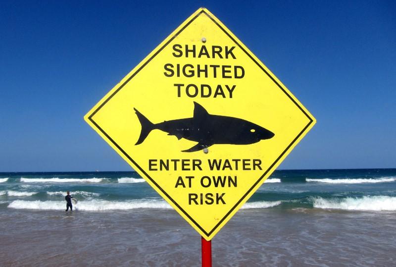 Australia dùng máy bay không người lái dò tìm cá mập, cảnh báo người dân