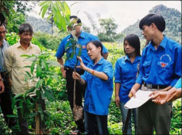 Phó Thủ tướng Trương Hòa Bình: Tạo điều kiện phát triển nguồn cán bộ lâu dài cho cơ sở