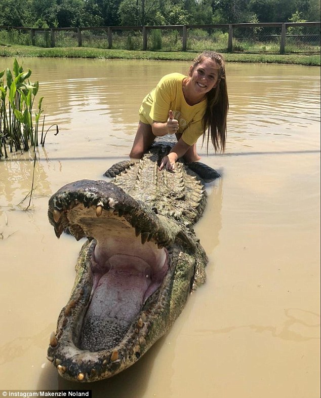 Một tấm ảnh khác của Makenzie và cá sấu Big Tex