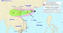 Hải Phòng: Chủ động phòng, chống bão số 4