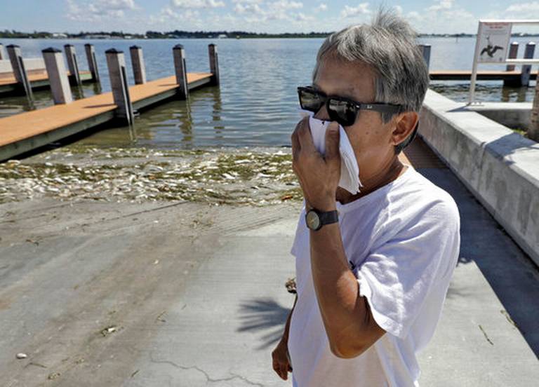 Đầu tuần này, Thống đốc bang Florida Rick Scott ban bố tình trạng khẩn cấp tại 7 hạt bị thủy triều đỏ tấn công, tuyên bố rót thêm chi phí để phát triển kinh tế, phục hồi và nghiên cứu (Ảnh: AP)