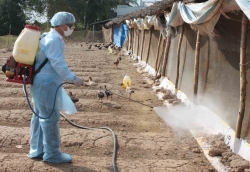 Xuất cấp hóa chất sát trùng cho tỉnh Kiên Giang