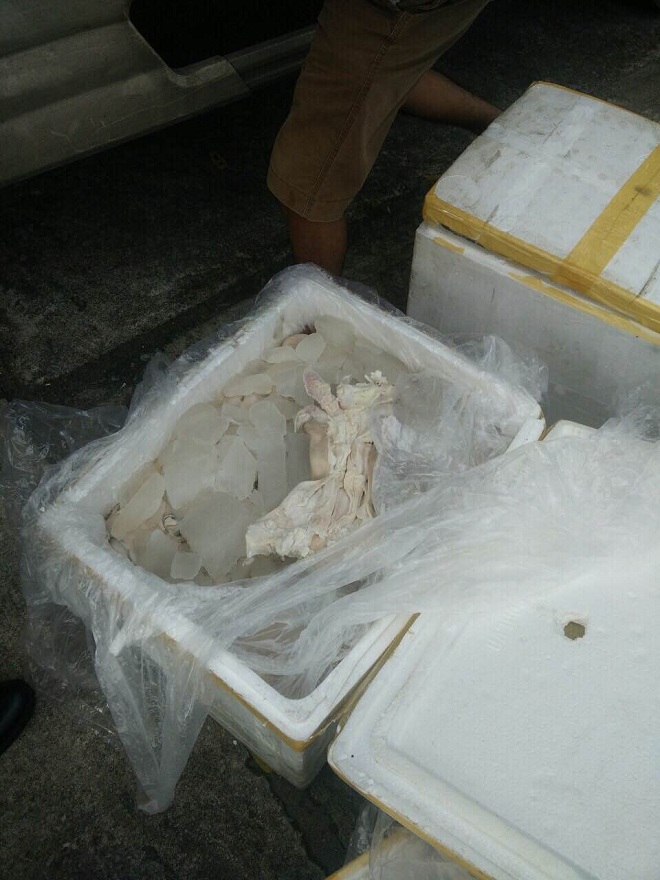 Hơn 300kg nội tạng cùng chân giò bò thối bị bắt giữ